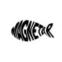 Magnetar